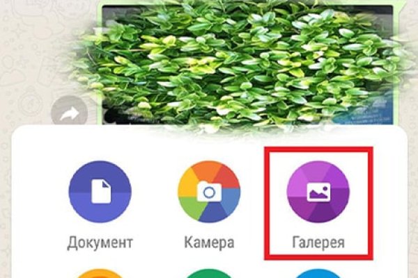 Ссылка на кракен через тор