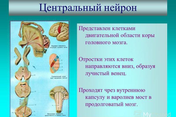 Кракен современный маркетплейс